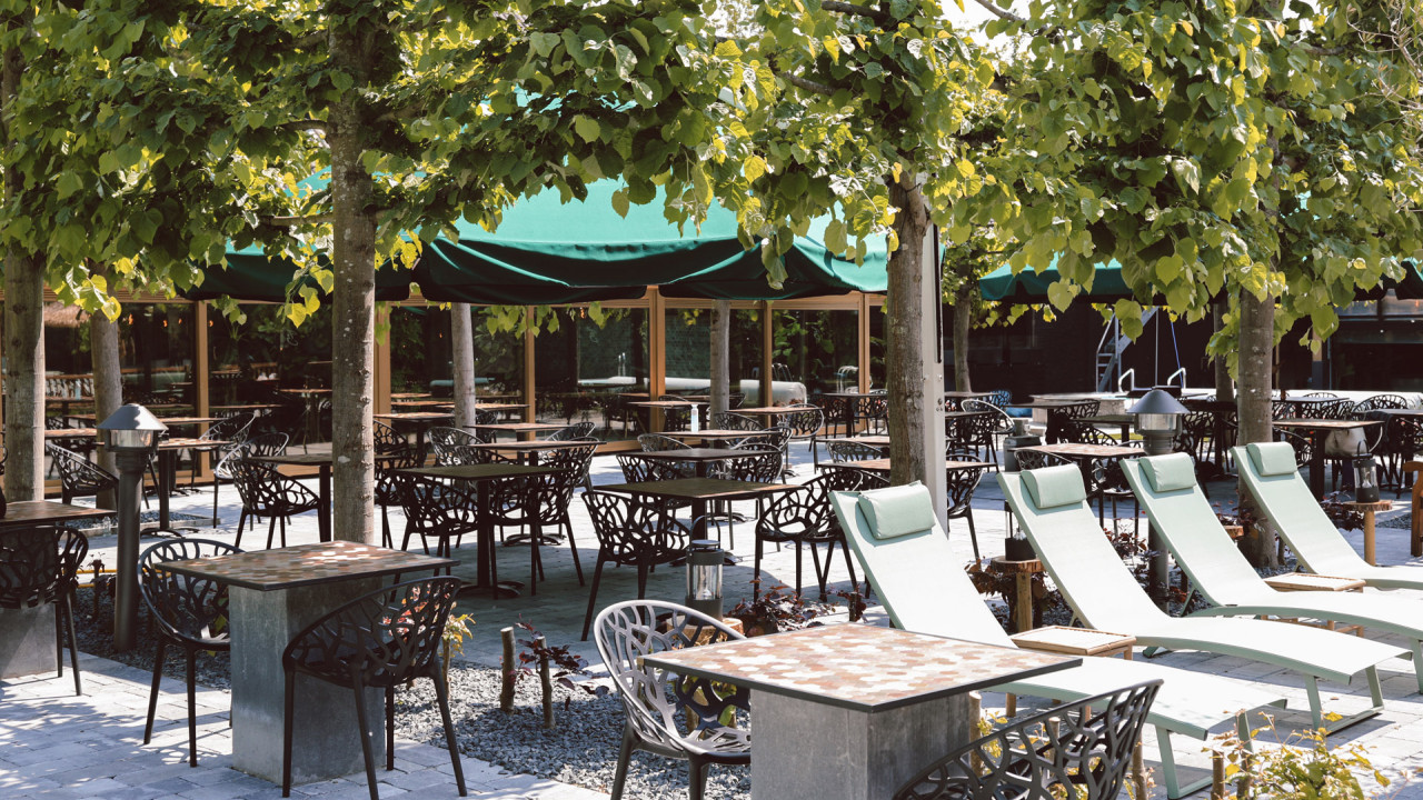 Terras
